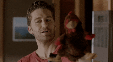 Matthew Morrison Parrot GIF by After The Reality