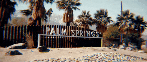 palm springs coachella GIF by NEW CITY