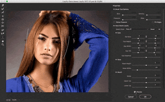 ericadalbellostringhini photoshop liquify photopro ale keese GIF