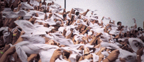 south carolina football GIF by gamecocksonline