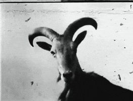 Satan Goat GIFs - Find & Share on GIPHY