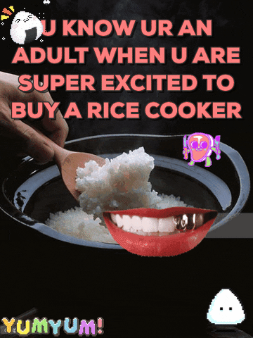 rice cooker adult GIF by Jess