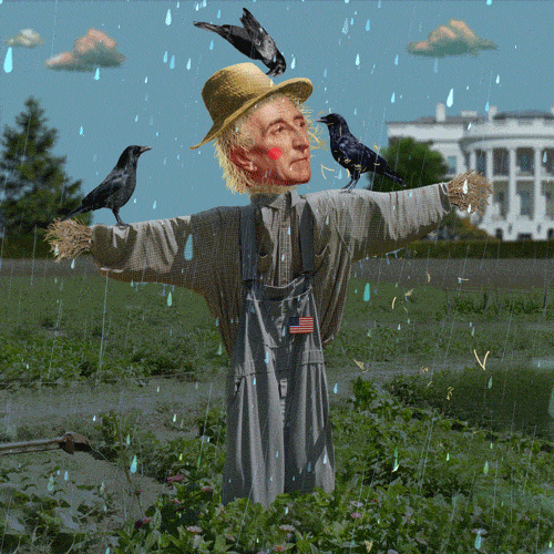 sad all of presidents GIF by Chris Timmons