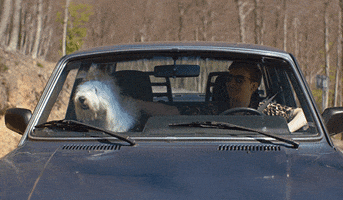 Happy Dog GIF by George Ezra