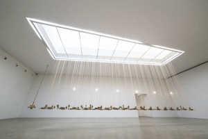 iursemog3dgmailcom dvora morag GIF