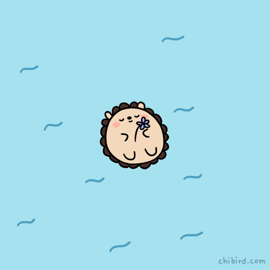 Image result for calm gif