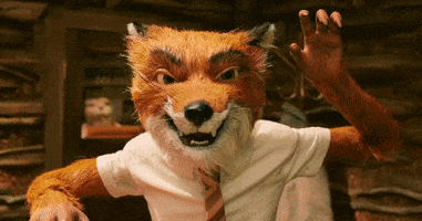 Wes Anderson Stop Animation GIF by 20th Century Fox Home Entertainment