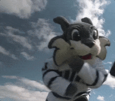 new hampshire sky GIF by University of New Hampshire