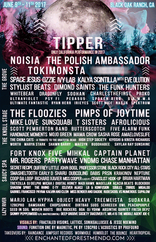 meganpru festival lineup tipper enchanted forest GIF