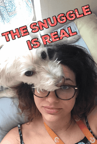 the snuggle is real GIF by chuber channel