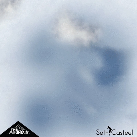 mountainartwear cat cats funny cats tshirt GIF