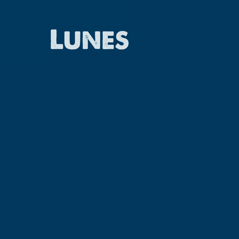 ugalileo #felizlunes !! GIF
