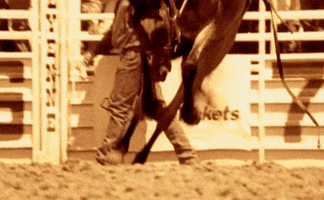 country music horsepower GIF by Chris LeDoux