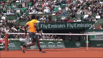 roland garros jump GIF by Tennis Channel