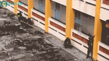 revcien  GIF
