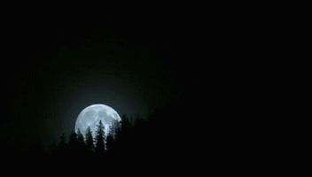thamarindo  GIF