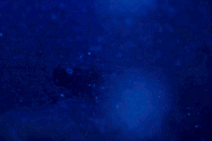 samgurry animation blue car mustang GIF