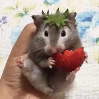 karinagv  GIF