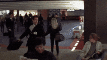 wiseacre jim carrey dumb and dumber seo expert limo driver GIF