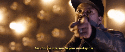 lesson sic them youngins on 'em GIF by Ice Cube