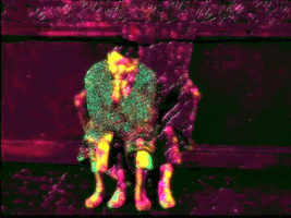 legs houston GIF by MFD