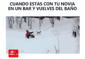 emglob befashion GIF
