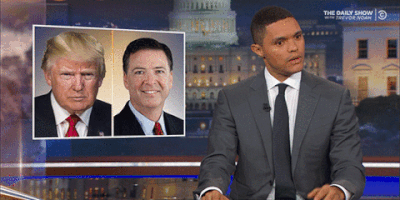 the daily show what GIF by The Daily Show with Trevor Noah