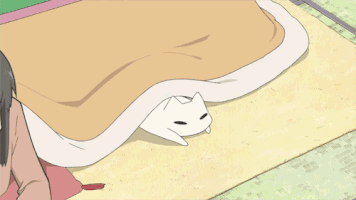 lechelech  GIF