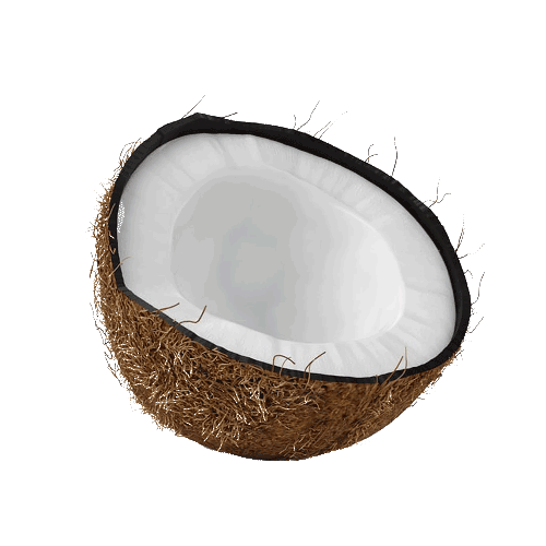 Coconut Animated
