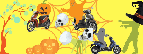 silviabonasegalecamnasio  GIF