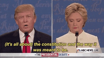 donald trump its all about the constitution and the way it was mean to be GIF by Election 2016