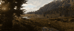 red dead redemption 2 GIF