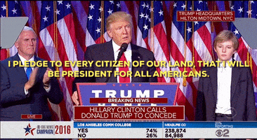 donald trump GIF by Election 2016