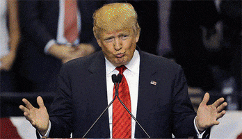 Donald Trump Shrug GIF by Desearch Repartment