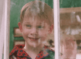 Home Alone Reaction GIF by 20th Century Fox Home Entertainment