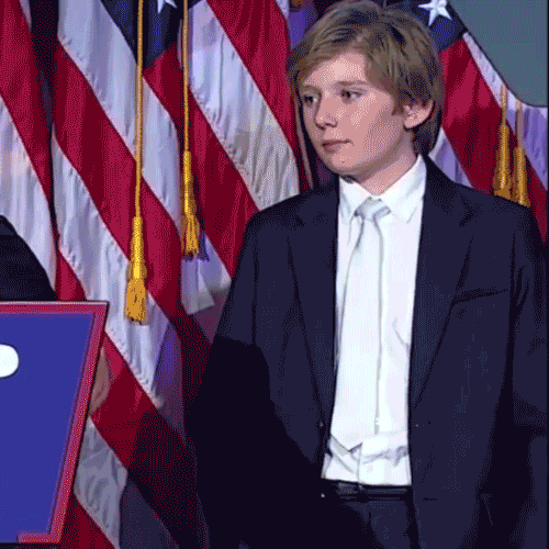 alexandrelegault-dery trump election2016 GIF