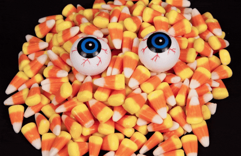Garfield Candy Candy Candy Gif