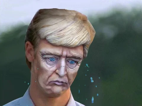donald trump GIF