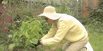 Modern Act GIF by Cloud Nothings