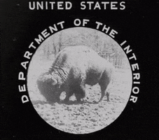 National Park Vintage GIF by US National Archives