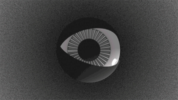 black and white perfect loop GIF by ibeefalone
