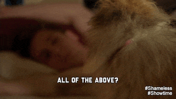 jeremy allen white all of the above GIF by Showtime