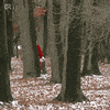 🎁 Weihnachts-Live Call am Di 20.Dezember 19 Uhr