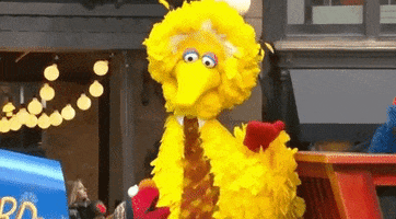 Big Bird Yes GIF by The 94th Annual Macy’s Thanksgiving Day Parade