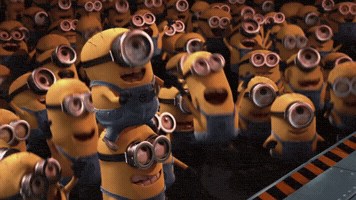 igorrekunenko investment staff workers GIF
