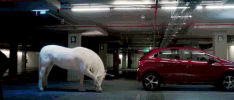 balzasj  GIF