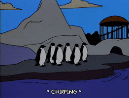 season 6 penguins GIF