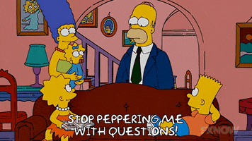 Lisa Simpson No Questions GIF by The Simpsons