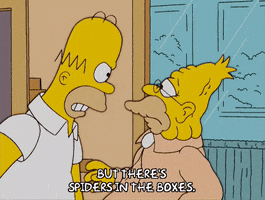 200.gif?cid=fc005b08973331d5ae6c1c9351205729ad64eceead0f250b&rid=200.gif&ct=g