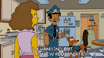 200.gif?cid=fc005b089143f504b4607053fe23f44cecf9a0d11a0d532e&rid=200.gif&ct=g